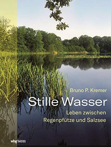 Stille Wasser: Leben zwischen Regenpfütze und Salzsee