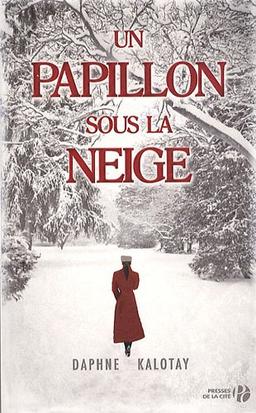 Un papillon sous la neige