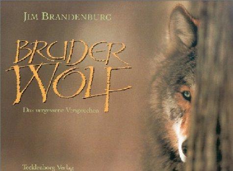 Bruder Wolf: Das Vergessene Versprechen