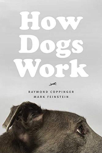 Coppinger, R: How Dogs Work