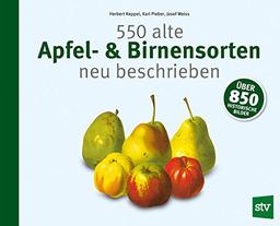 600 alte Apfel- & Birnensorten neu beschrieben