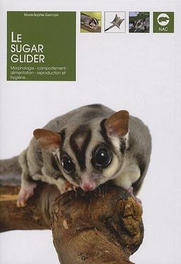 Le sugar glider : morphologie, comportement, alimentation, reproduction et hygiène...