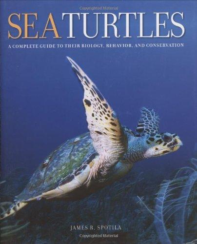 Sea Turtles: A Complete Guide to Their Biology, Behavior, and Conservation