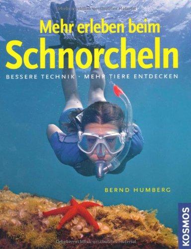 Mehr erleben beim Schnorcheln: Bessere Technik, mehr Tiere entdecken