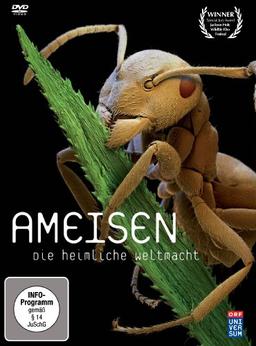 Ameisen - Die heimliche Weltmacht