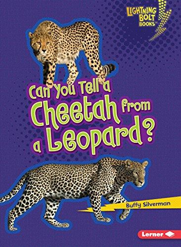 Can You Tell a Cheetah from a Leopard? (Lightning Bolt Books)