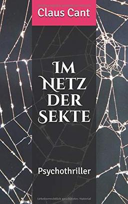 Im Netz der Sekte: Psychothriller