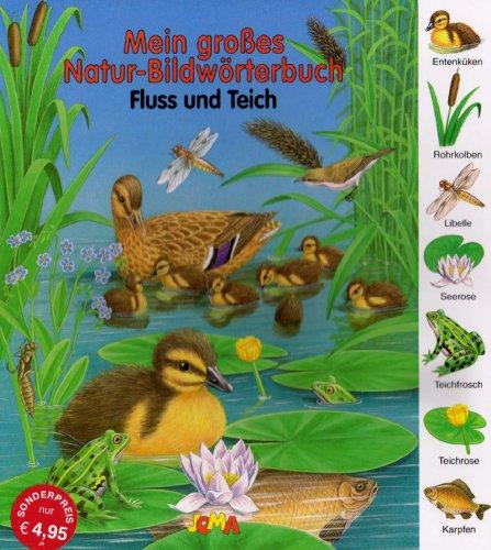 Mein großes Natur-Bildwörterbuch Fluss und Teich