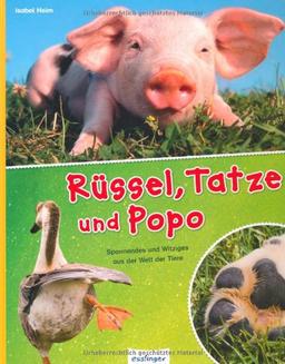 Rüssel, Tatze und Popo