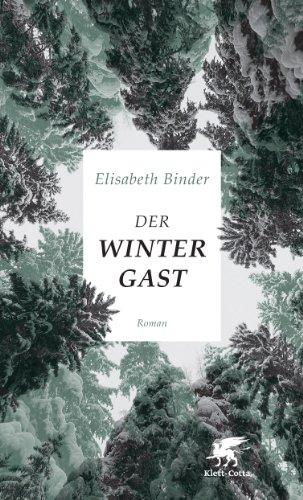 Der Wintergast: Roman