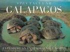 Galapagos