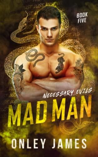 Mad Man (Necessary Evils, Band 5)