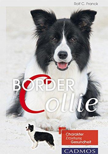 Border Collie: Charakter, Erziehung, Gesundheit