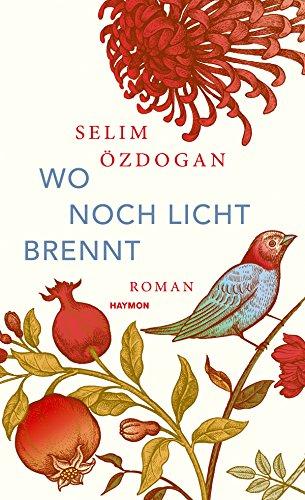 Wo noch Licht brennt: Roman