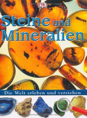 Steine und Mineralien: Die Welt erleben und verstehen