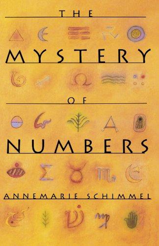 The Mystery of Numbers (Oxford Paperbacks)