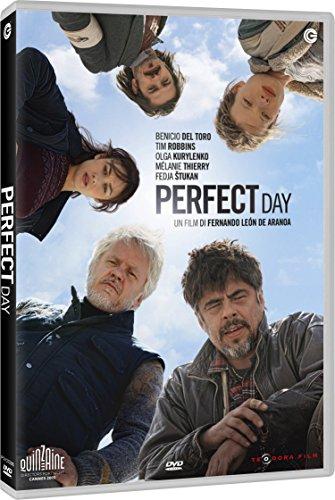 DVD PERFECT DAY