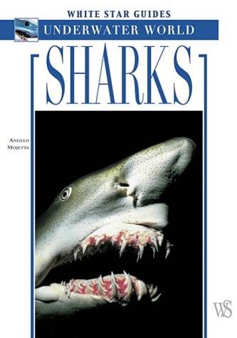 Sharks (White Star Guides S.)