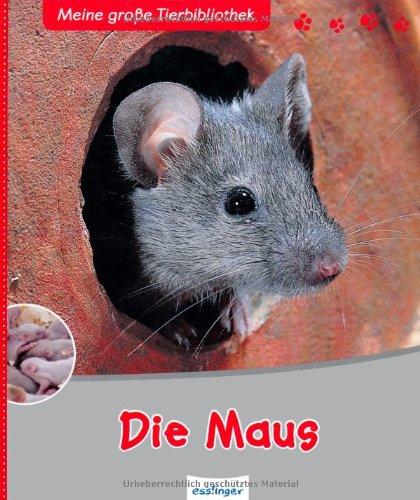 Die Maus