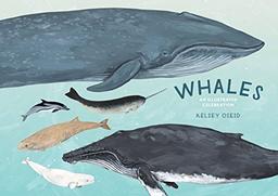 Whales: An Illustrated Celebration