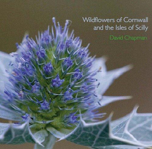 Chapman, D: Wildflowers of Cornwall and the Isles of Scilly (Pocket Cornwall)