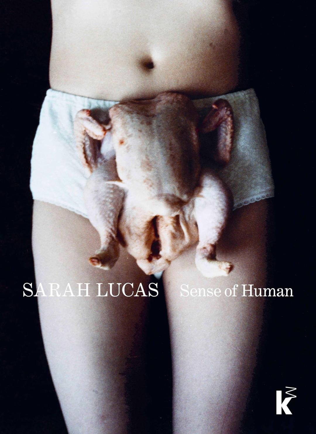 Sarah Lucas Sense of Human