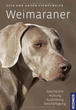 Weimaraner: Geschichte, Haltung, Ausbildung, Beschäftigung: Geschichte, Haltung, Ausbildung, Zucht