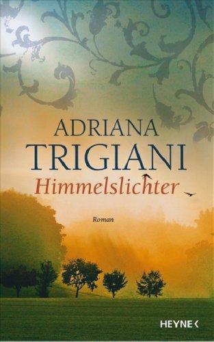 Himmelslichter: Roman