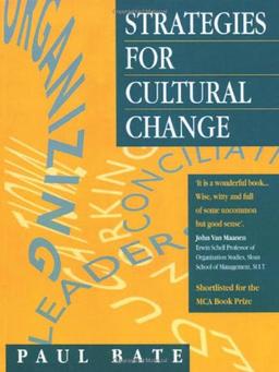 Strategies for Cultural Change