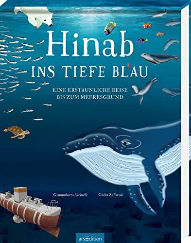 Hinab ins tiefe Blau: Eine erstaunliche Reise bis zum Meeresgrund