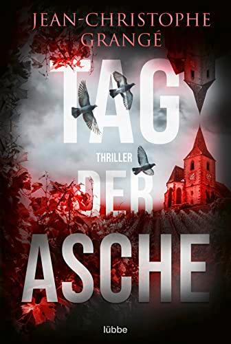 Tag der Asche: Thriller