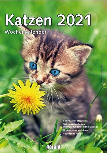 Wochenkalender Katzen 2021