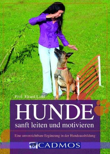 Hunde sanft leiten und motivieren: Eine unverzichtbare Ergänzung in der Hundeausbildung