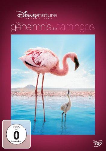 Das Geheimnis der Flamingos