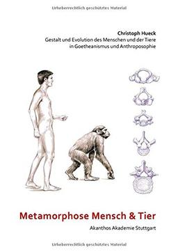 Metamorphose Mensch und Tier: Gestalt und Evolution des Menschen und der Tiere in Goetheanismus und Anthroposophie