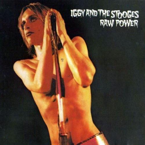 Raw Power [Vinyl LP]