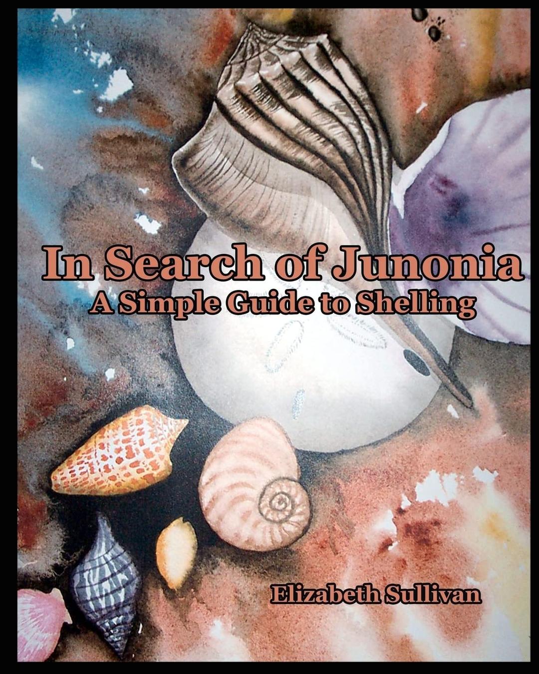 In Search Of Junonia: A Simple Guide To Shelling