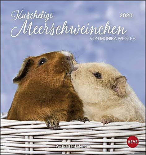 Meerschweinchen PKK 2020 16x17cm