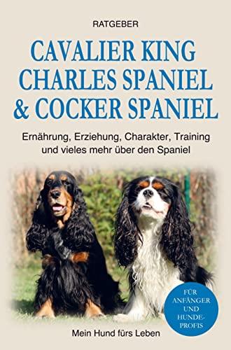 Cocker Spaniel & Cavalier King Charles Spaniel: Erziehung, Training, Ernährung, Charakter und einiges mehr über den Spaniel