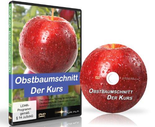 Obstbaumschnitt Der Kurs