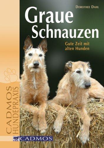 Graue Schnauzen: Gute Zeit mit alten Hunden