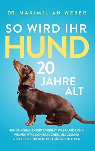 So wird Ihr Hund 20 Jahre alt: Hunde-Aging-Experte verrät, was Hunde und Welpen wirklich brauchen, um gesund zu bleiben und deutlich länger zu leben