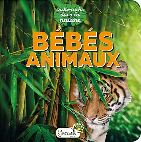 Bébés animaux