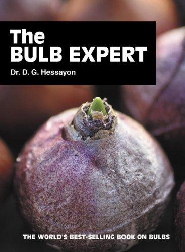 The Bulb Expert