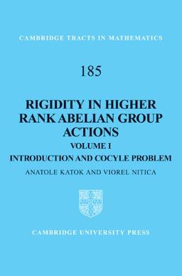 Rigidity in Higher Rank Abelian Group Actions: Volume 1, Introduction and Cocycle Problem (Cambridge Tracts in Mathematics, Band 185)