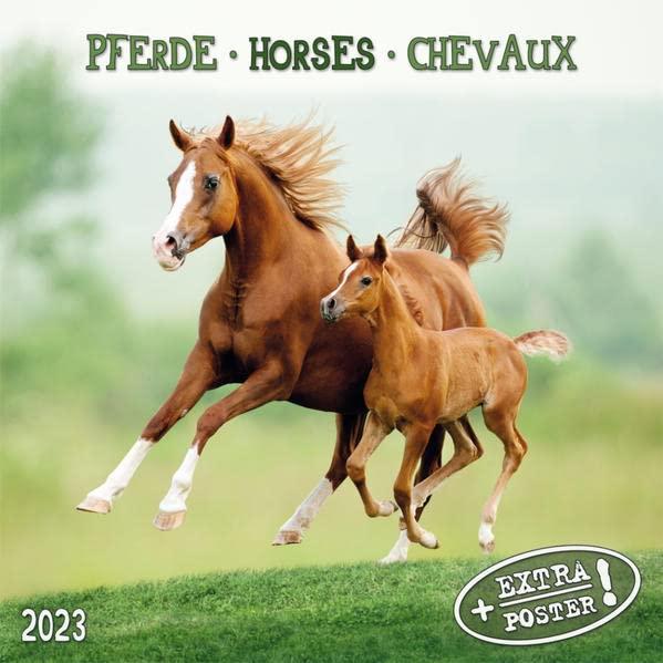 Horses/Pferde 2023: Kalender 2023 (Artwork Edition)