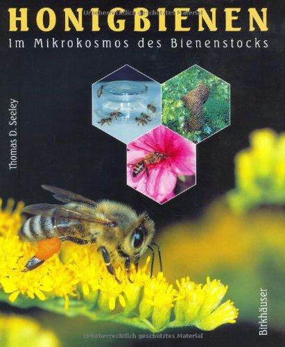 HONIGBIENEN - Im Mikrokosmos des Bienenstocks