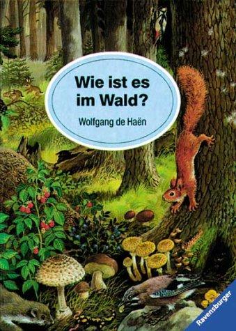 Wie ist es im Wald?: Mit neuer Rechtschreibung