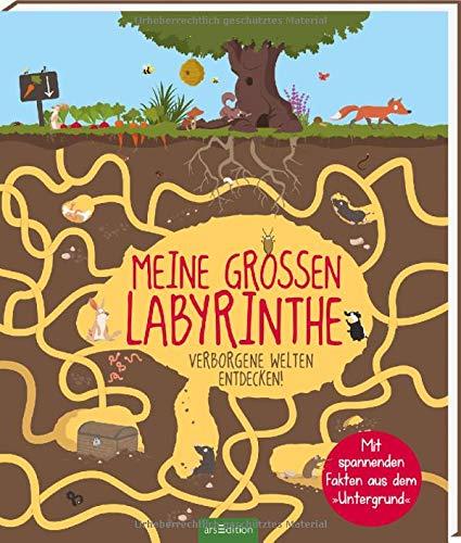 Meine großen Labyrinthe: Verborgene Welten entdecken!