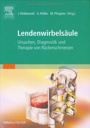 Lendenwirbelsäule: Ursachen, Diagnostik und Therapie von Rückenschmerzen